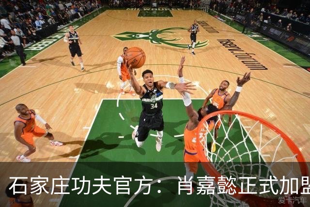 石家庄功夫官方：肖嘉懿正式加盟球队，曾征战德国第五级别联赛
